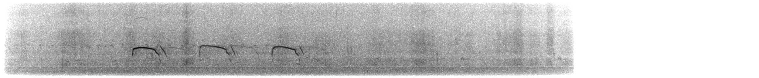 moták severoamerický - ML647215119