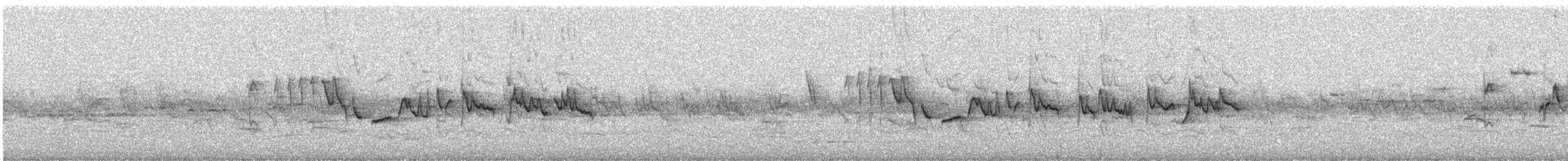 Silvereye - ML647215130