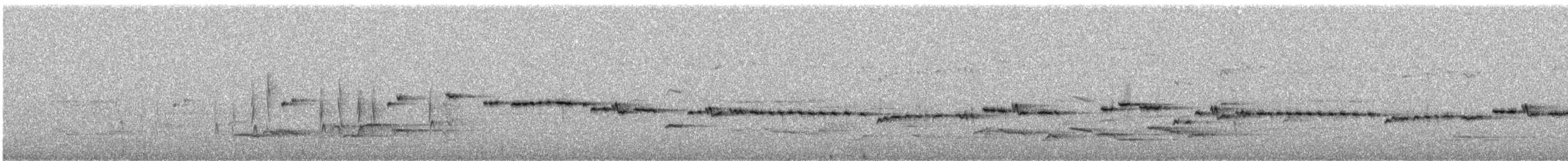 Gray Gerygone - ML647215135