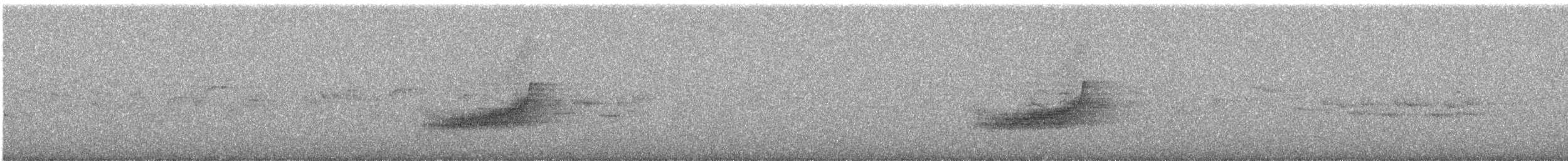 Long-tailed Koel - ML647215139