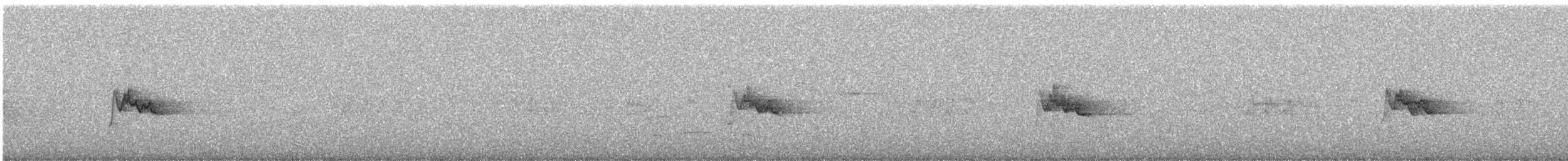 Silvereye - ML647215140