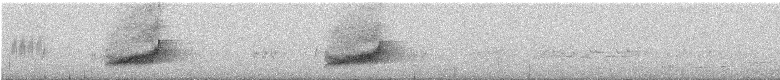 kukačka dlouhoocasá - ML647215141