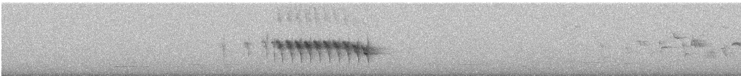 Whitehead - ML647215150