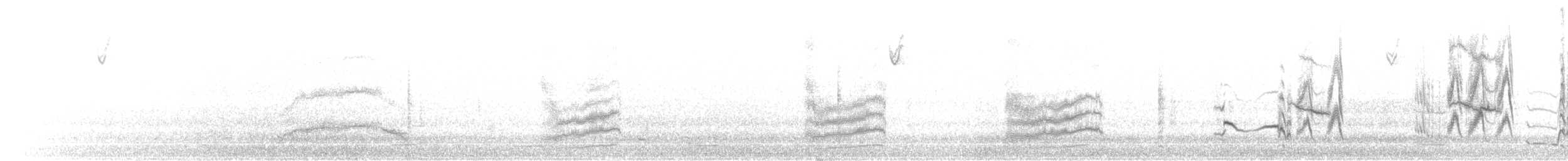 European Starling - ML647215152