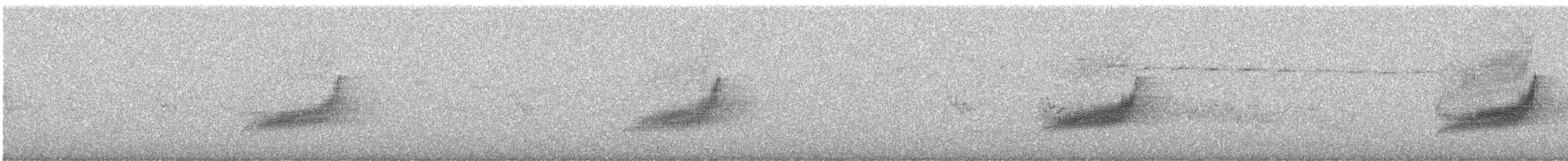 Long-tailed Koel - ML647215154