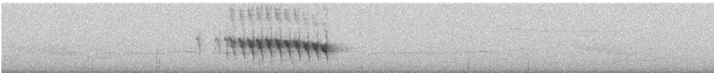 Whitehead - ML647215164