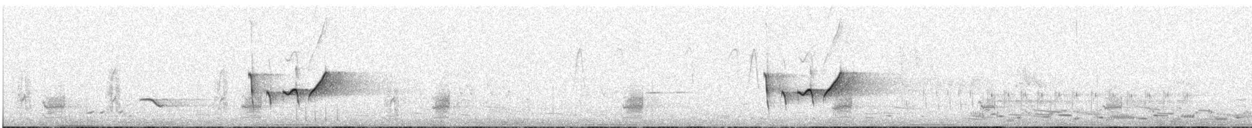 Petroica Matorralera Sureña - ML647215561