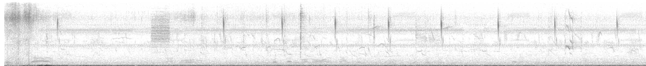 Cistícola Buitrón - ML647215578