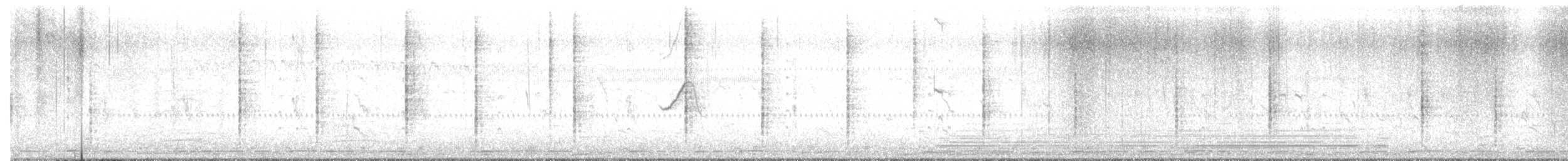 Carricero Estentóreo - ML647215583