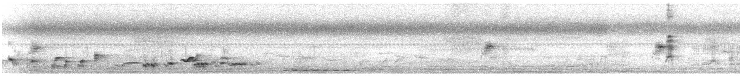 Indian Scimitar-Babbler - ML647215693