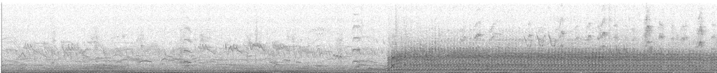 Spotless Crake - ML647215721