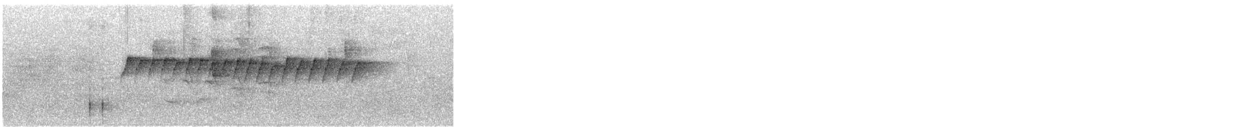 White-browed Gnatcatcher - ML647217471