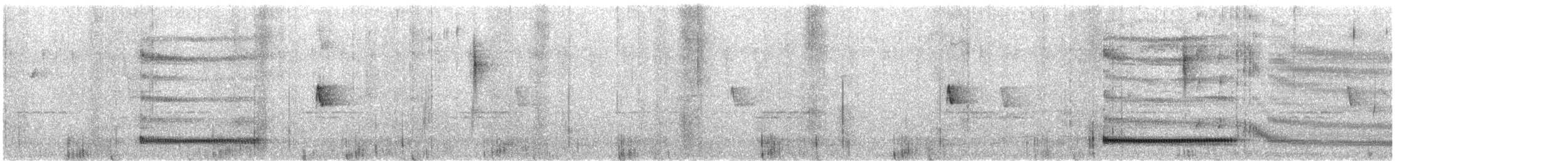 Northern Bentbill - ML647217511