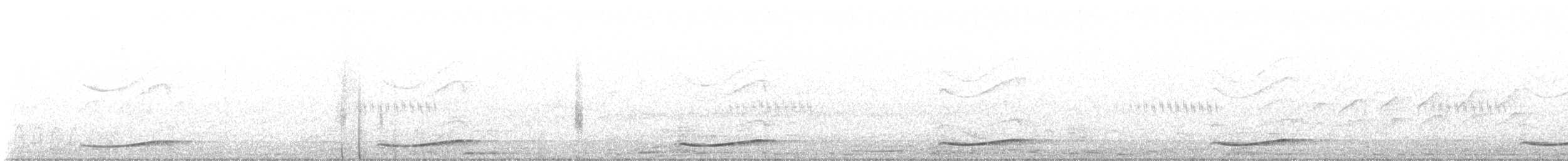 Pacific Koel - ML647217550