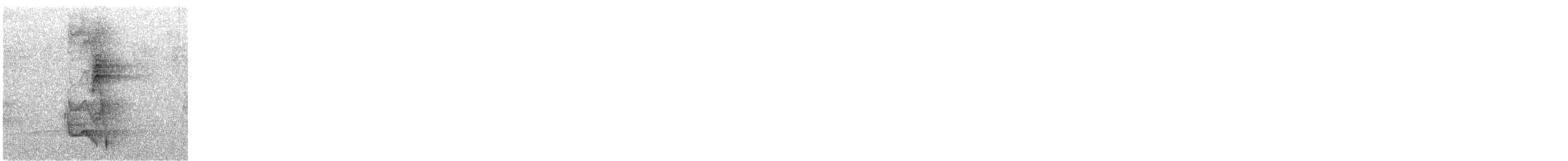 Trepatroncos Picomarfil - ML647217573