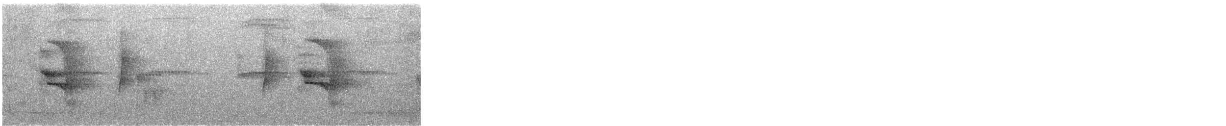 Tyran sociable - ML647217785