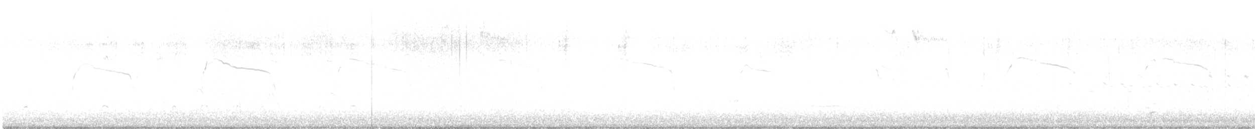 Northern Harrier - ML647221208