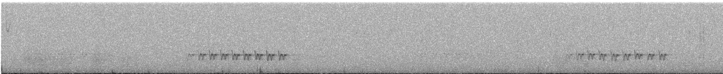 Juniper Titmouse - ML647221457