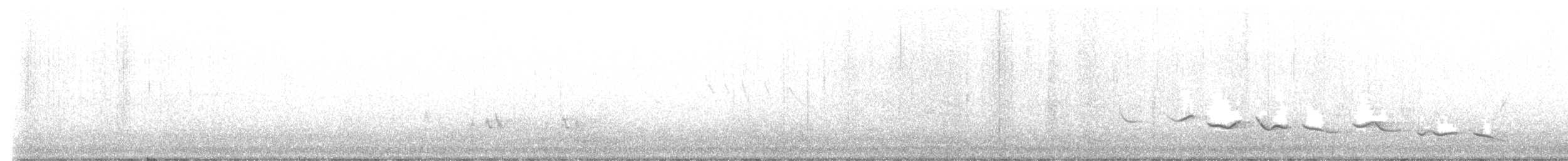 Black-crowned Tchagra - ML647221539