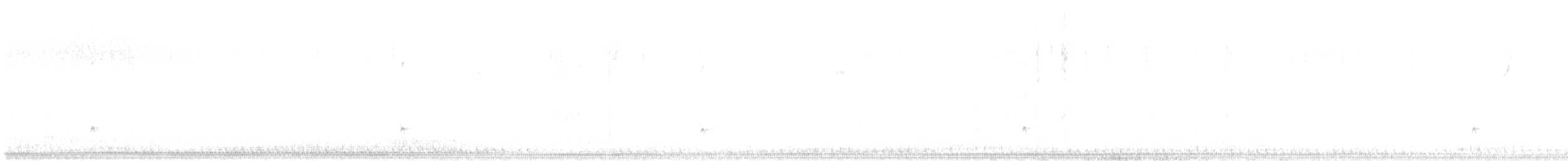 Ash-throated Flycatcher - ML647221619