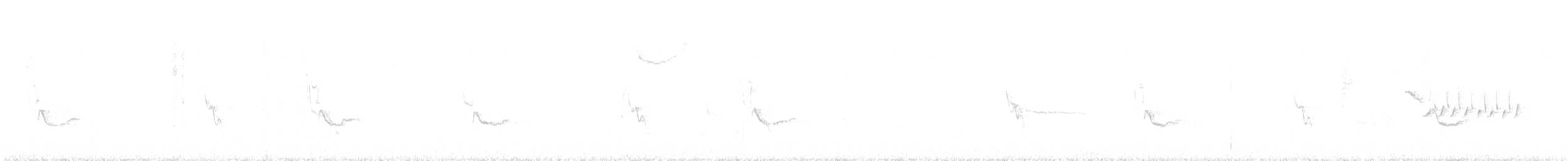 Hutton's Vireo - ML647222138