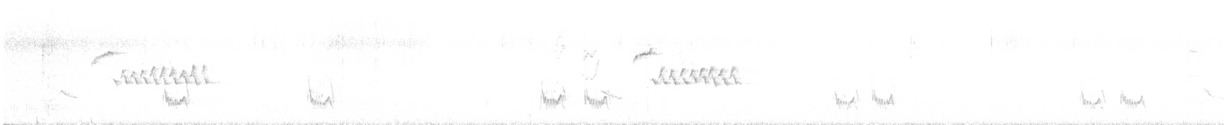 Crissal Thrasher - ML647222227