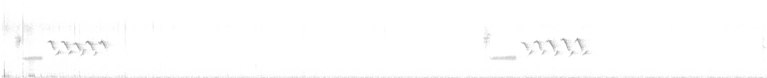 Bewick's Wren (mexicanus Group) - ML647222311