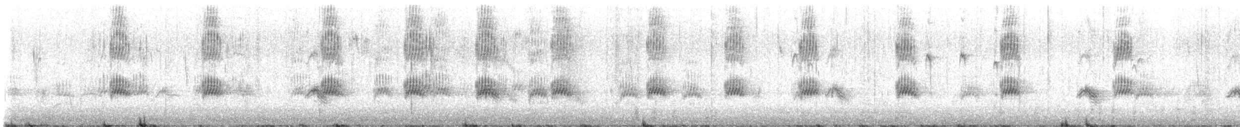 Picogordo Vespertino - ML647222693