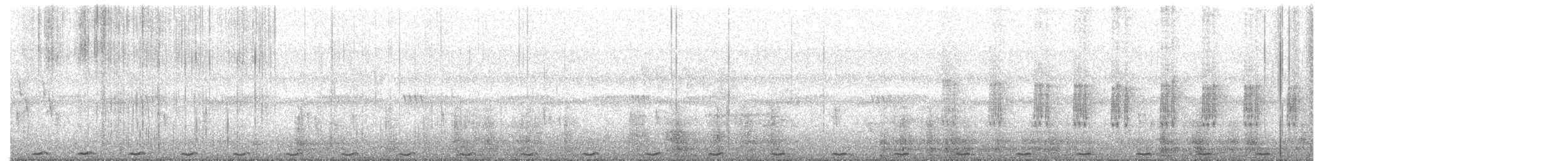 Greater Coucal - ML647222694