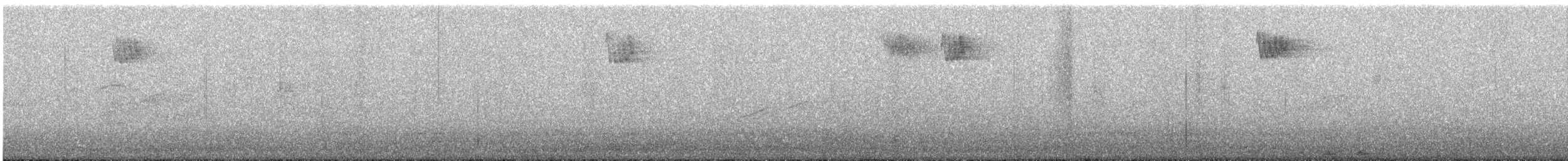 Turdus sp. - ML647223020