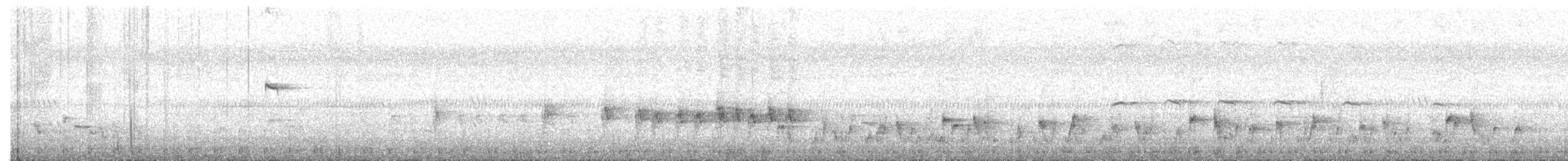 White-browed Bulbul - ML647223194