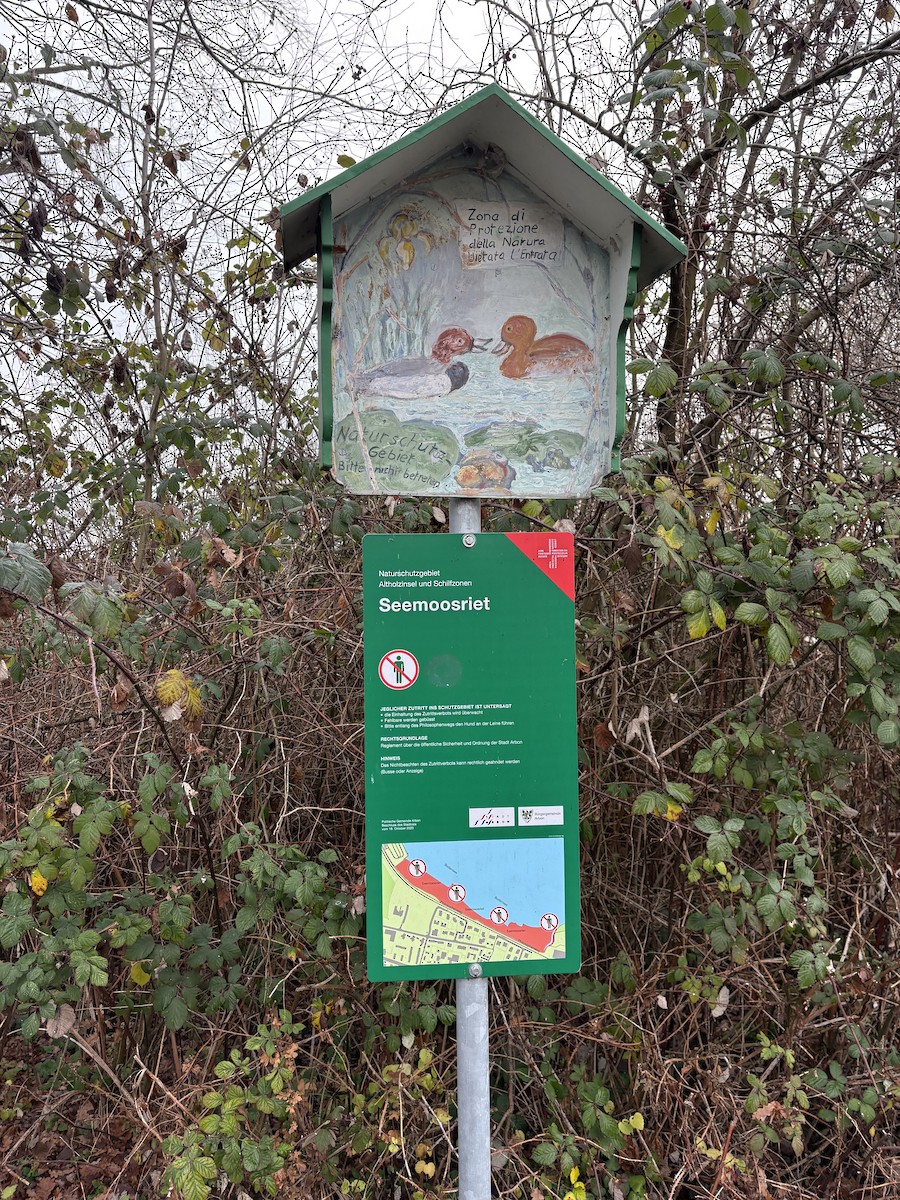 Animals - ML647224117