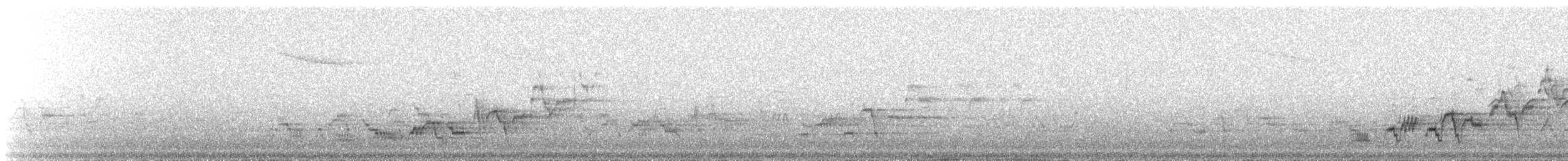 Zorzalito de Swainson - ML647224690