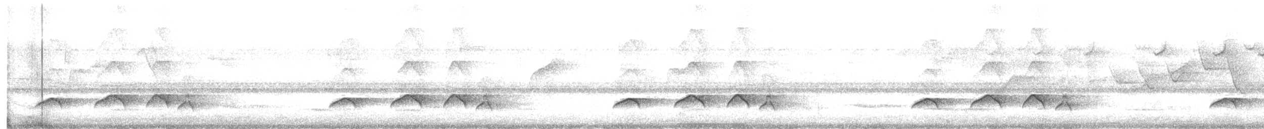 Attila à queue rousse - ML647225076