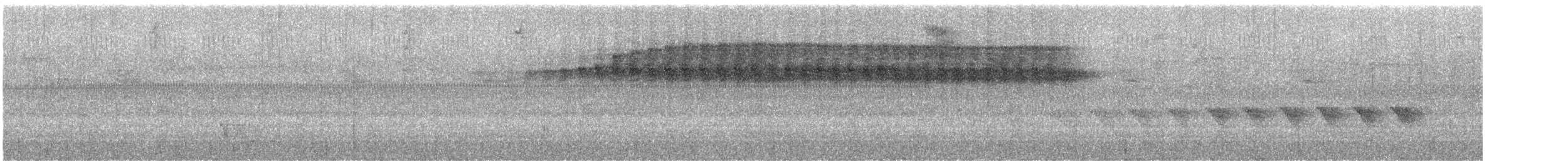 Diken Kuyruklu Derekoşarı - ML647225125