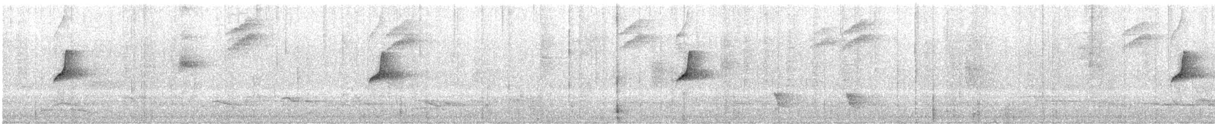 Salvadori Karıncaçıvgını - ML647225127