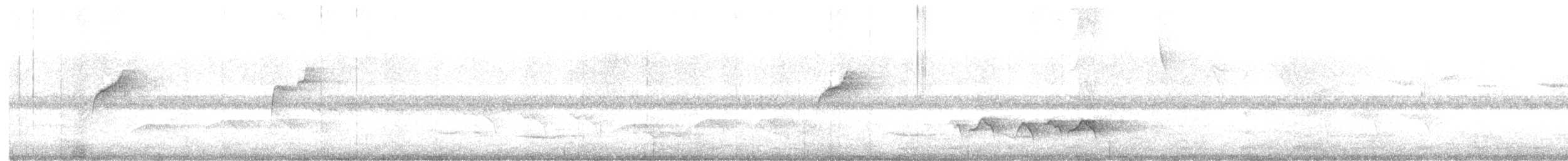 Gri Karınlı Dikenkuyruk - ML647225365