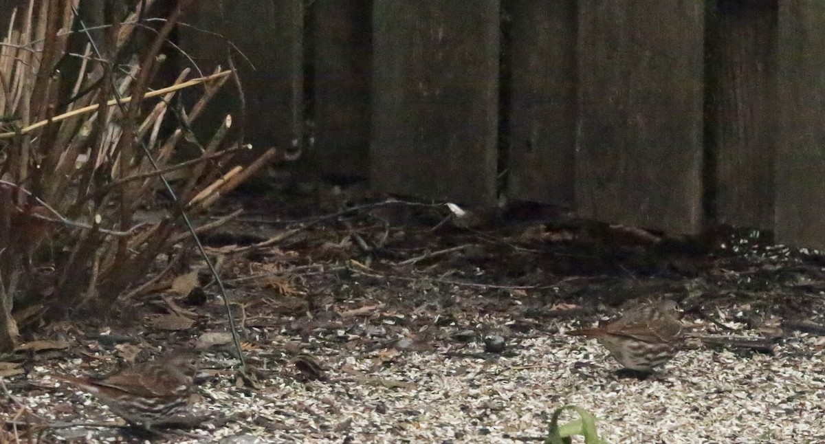 Passerella variabile - ML647225386