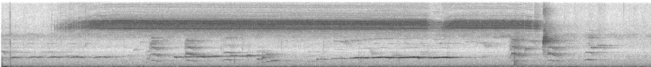 Пая лазурова - ML647225425