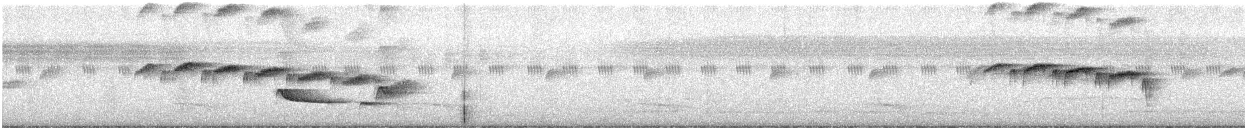 Покривник бразильський - ML647225431