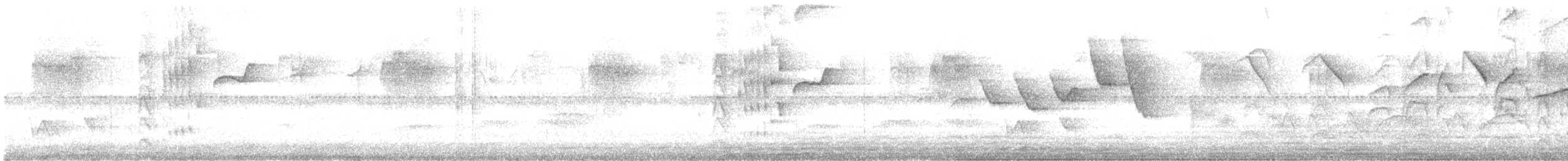 Бекард чубатий - ML647225451