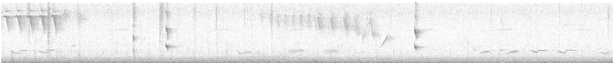 Altın Gözlü Todi Tiranı - ML647225462