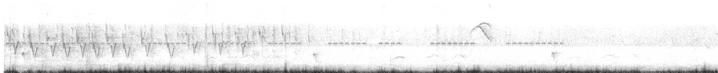 Saz İspinozu - ML647225515