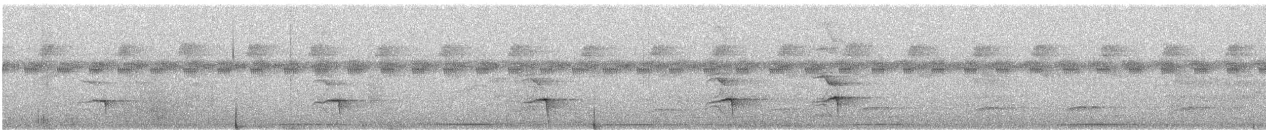 Hauxwell's Thrush - ML647225862