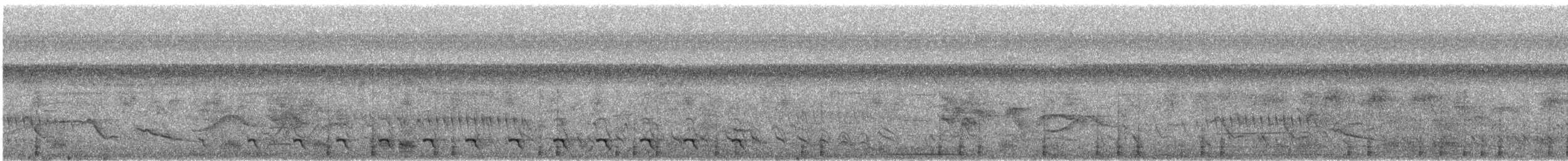 Blue-crowned Trogon - ML647226296