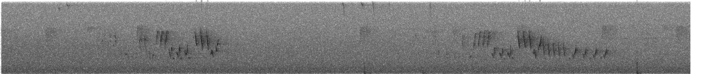 Chochín Criollo Norteño - ML647226504