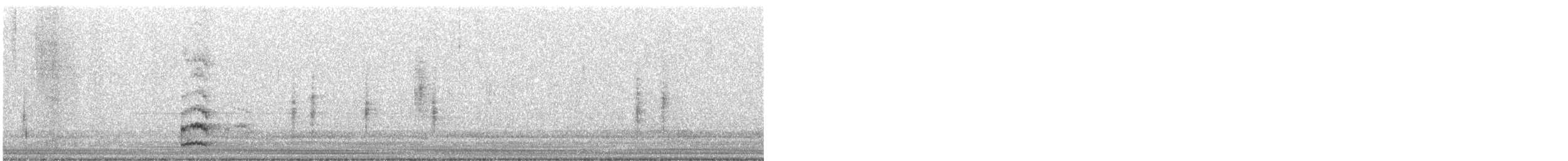 Gallinella d'acqua - ML647226572