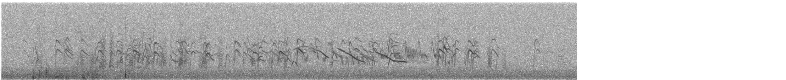 Black Siskin - ML647226579