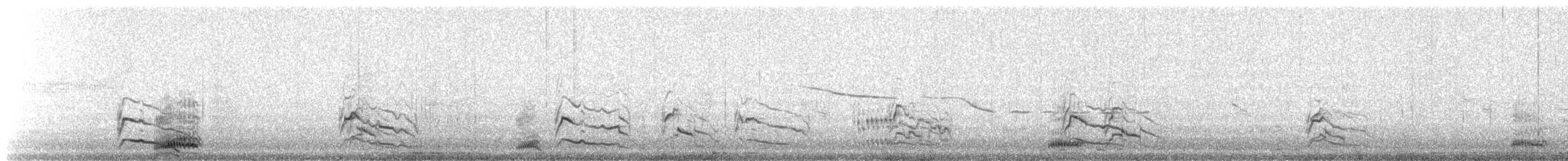 Long-tailed Jaeger - ML647226971