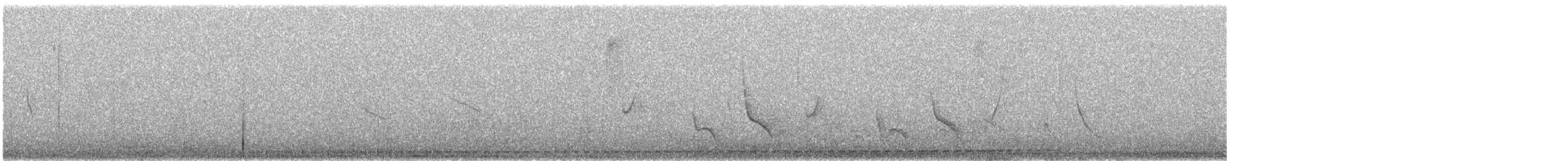 skjellmaurpitta - ML647227142